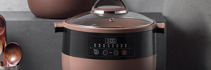BEAR小熊 紫砂电炖盅套装 燕窝养生隔水炖盅全自动煲汤 大容量家用砂锅 4.5L大内胆 DDZ-B45Z1