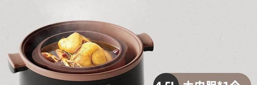 BEAR小熊 紫砂电炖盅套装 燕窝养生隔水炖盅全自动煲汤 大容量家用砂锅 4.5L大内胆 DDZ-B45Z1