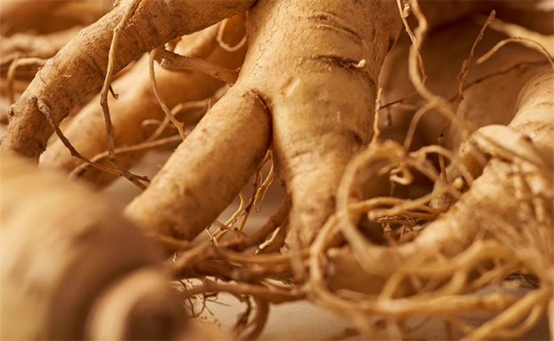 【中國直郵】 喜純 西洋參玉靈膏雙補非北京同仁堂蒸桂圓氣血玉林 220g/瓶