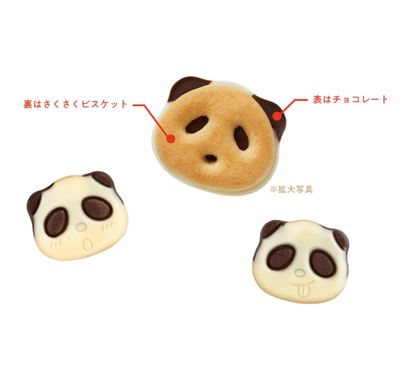 【日本直郵】DHL直郵3-5天到 日本KABAYA 熊貓形狀巧克力夾心餅乾 原味 47g