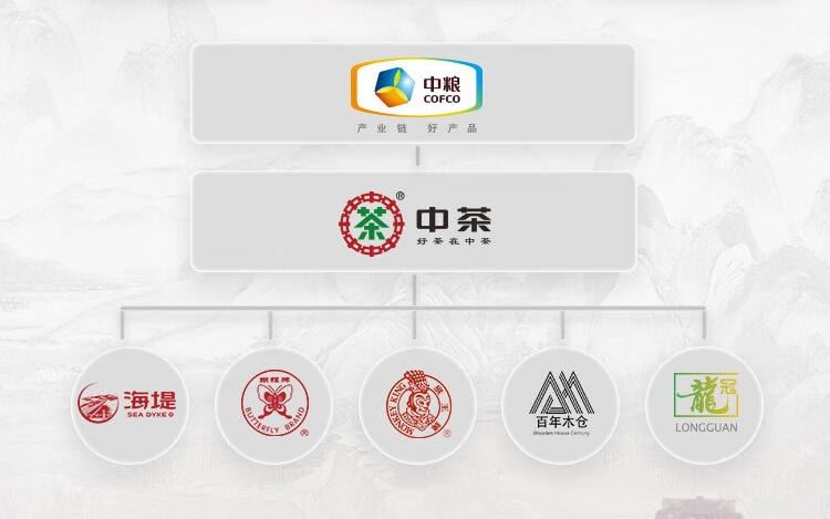 中茶 雲南普洱茶葉 熟茶Y562 罐裝 100g