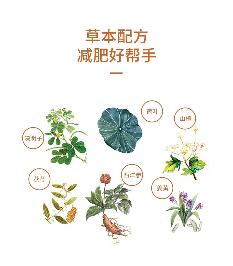 【中国直邮】樱花 决明子山楂减肥茶保健食品 30袋