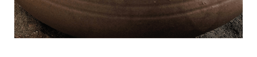 韓國NONGHYUP農協 泡菜罐頭160g