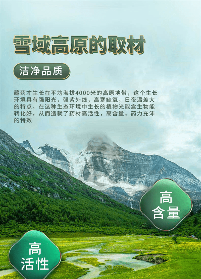 【中国直邮】 奇正藏药 十五味龙胆花丸 藏药 支气管炎咳嗽气喘 36丸/盒