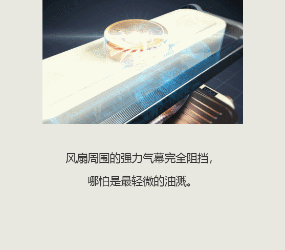 韩国 Caresys Double Care Grill - 白色/黑色1 件装 - 无烟、双加热、快速烹饪、KBBQ 电烧烤炉 - 适合2-3人