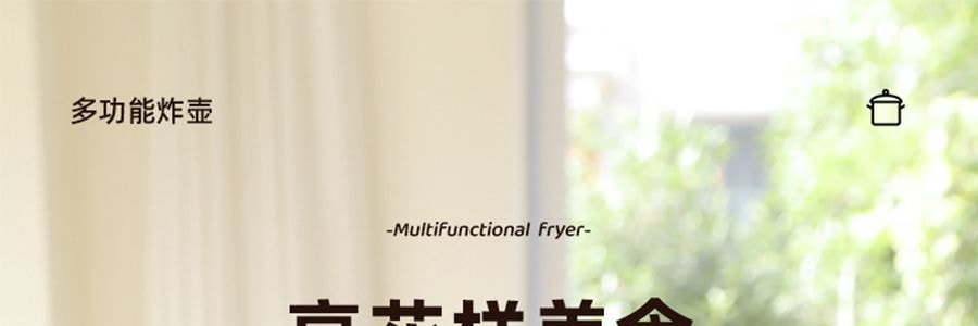 炸炸壶 多功能小型油炸桶 油炸锅 3L