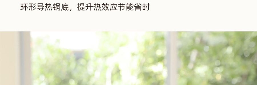炸炸壶 多功能小型油炸桶 油炸锅 3L