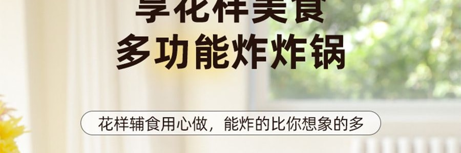 炸炸壶 多功能小型油炸桶 油炸锅 3L