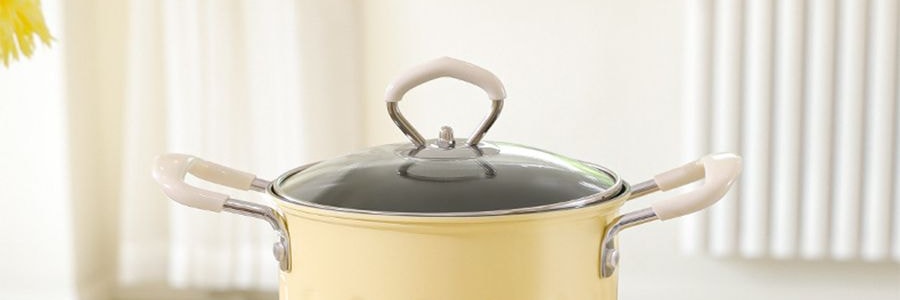 炸炸壶 多功能小型油炸桶 油炸锅 3L