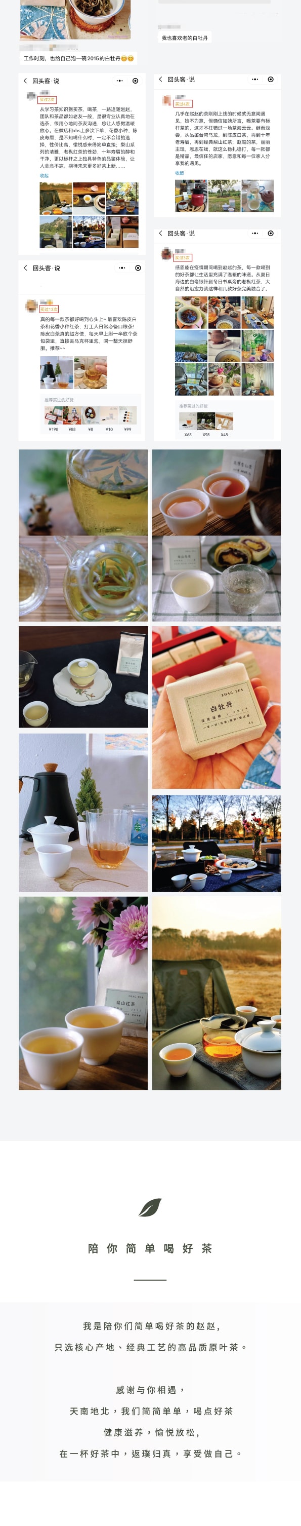 美國 趙趙的茶 ZhaoTea 花香白牡丹 福建福鼎 白茶 試飲三連泡 花香高揚 茶湯香甜 12g(4gx3)