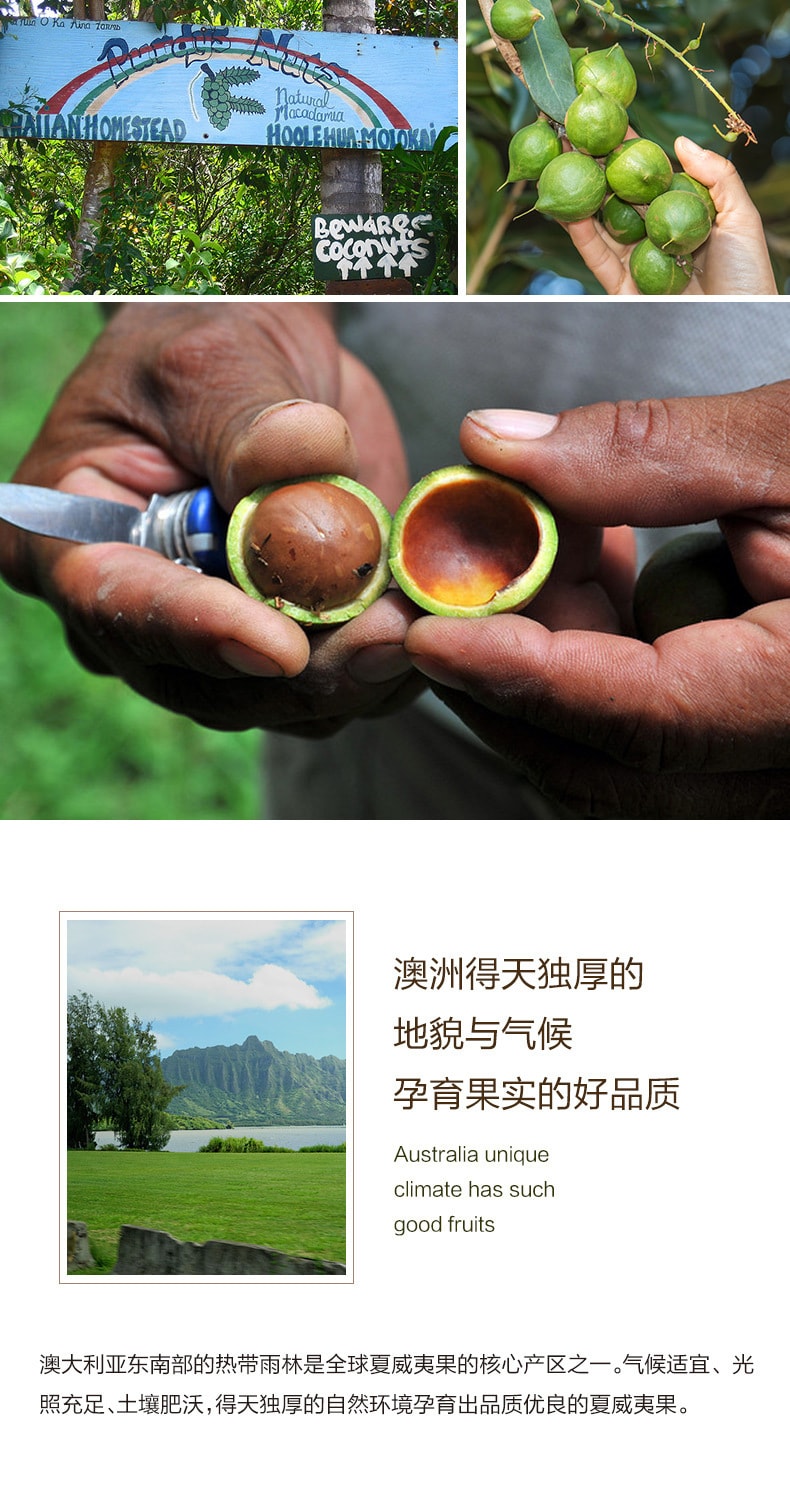 【中國直郵】良品鋪子 夏威夷果 網紅乾果散裝堅果仁奶油味營養零食 120g/袋