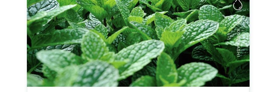 日本KOBAYASHI 小林制药 肩周炎肩颈涂抹液 80ml