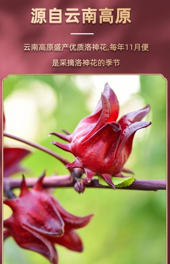 岷农人 玫瑰茄洛神花 50g/罐 花果茶 女性保健茶 降血压 抗氧化 促进消化 增强免疫力 利尿 调节血糖【美容养颜调气茶 早C晚A 养肤好气色】