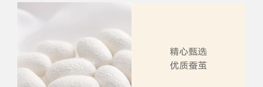 THE BEAST野兽派 tbh家居纯色桑蚕丝枕头套 丁香紫 22姆米真丝枕套 48cm×74cm