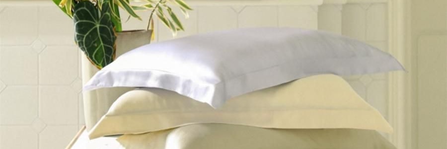 THE BEAST野兽派 tbh家居纯色桑蚕丝枕头套 丁香紫 22姆米真丝枕套 48cm×74cm