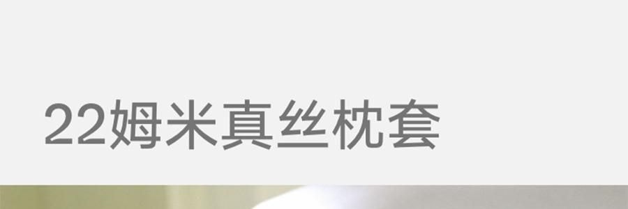 THE BEAST野兽派 tbh家居纯色桑蚕丝枕头套 丁香紫 22姆米真丝枕套 48cm×74cm