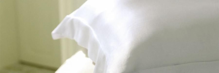 THE BEAST野兽派 tbh家居纯色桑蚕丝枕头套 丁香紫 22姆米真丝枕套 48cm×74cm