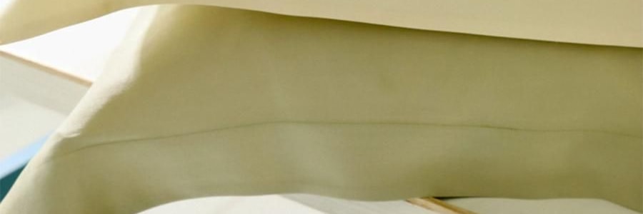 THE BEAST野兽派 tbh家居纯色桑蚕丝枕头套 丁香紫 22姆米真丝枕套 48cm×74cm