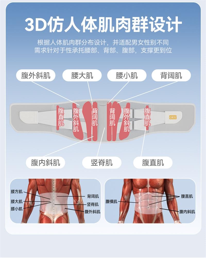 【中国直邮】 英国 oes 护腰带腰椎腰间盘男女士专用久坐久站束腰神器 全新换代-灰 均码 1个装
