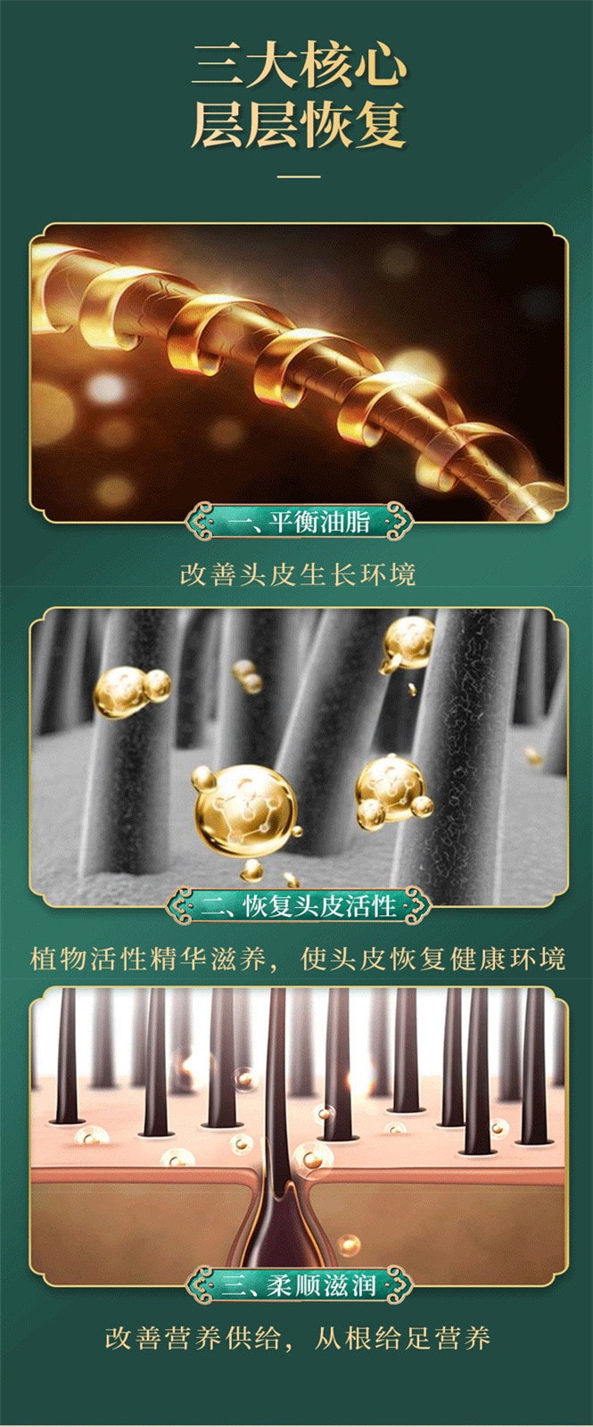 【中国直邮】北京同仁堂 何首乌侧柏叶植萃洗发水人参根 植萃呵护 养出秀发 300ml/瓶