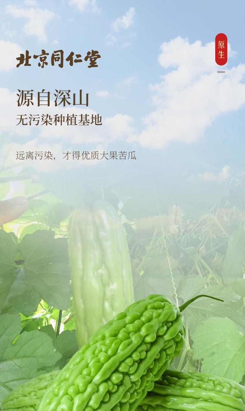 【大山深处无污染原料快速烘干大片 】北京同仁堂苦瓜片100克 下火去火苦瓜茶 苦瓜干泡水降血糖茶 去脂养生茶【经常熬夜 饮食油腻就来它】