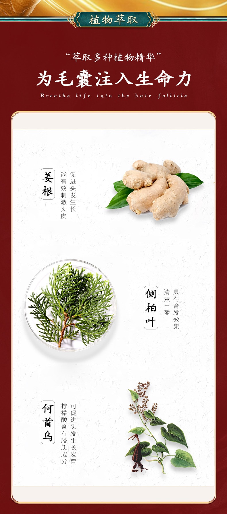 【中國直郵】南京同仁堂 何首烏生薑洗髮精 止癢去屑 清爽控油密發500ml/瓶