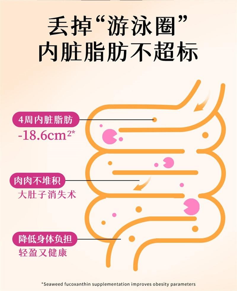 【中国直邮】 维特健灵 极烧脂 减肥 燃脂 排油 促进新陈代谢提高代谢 倍速燃体 14包/盒(推荐拍4盒一周期)