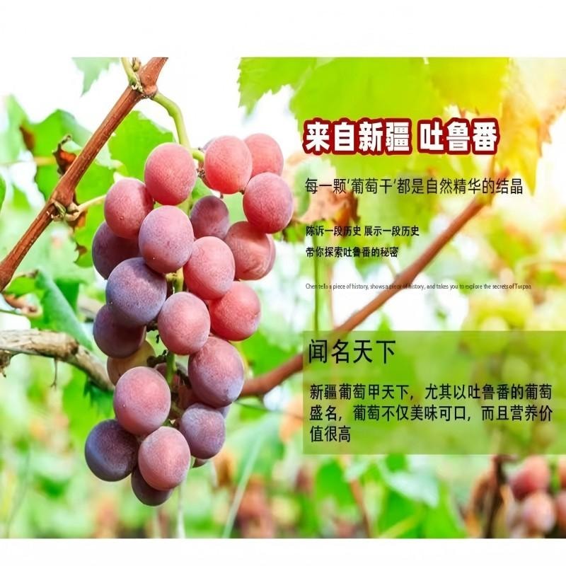 【中國直郵】 新邊界 紅香妃【個大飽滿 無添加】新疆葡萄乾紅香妃王無籽吐魯番特產乾果零食免洗葡萄乾 蜜餞果乾休閒零食果脯葡萄水果乾即食 紅香妃王400g