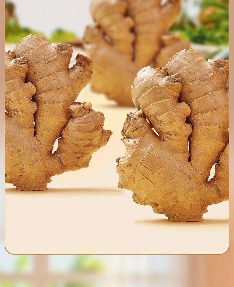 【中国直邮】 吉得利 生姜粉100g 袋装 羊杂汤鸡汤鲫鱼汤煲汤去腥提鲜调味粉料