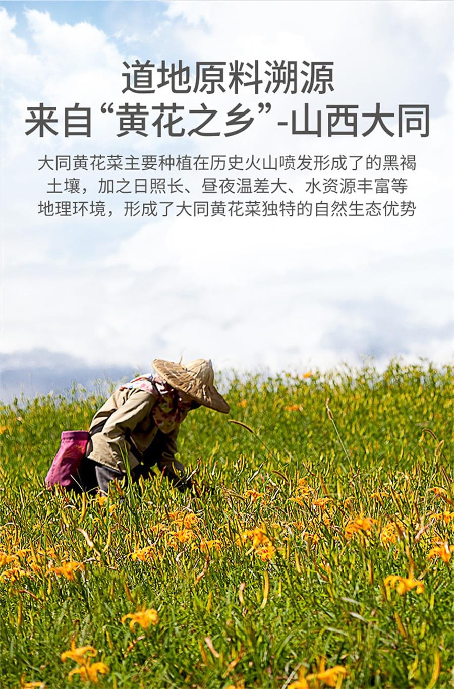 【中国直邮】 方家铺子 黄花菜干货火锅煲汤凉拌菌菇食材农家小菜200g/袋