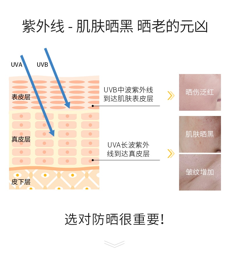 [中国直邮]百植萃 Biophyto-genesis 舒缓清透防晒乳 SPF50+ PA++++ 40g 1支装
