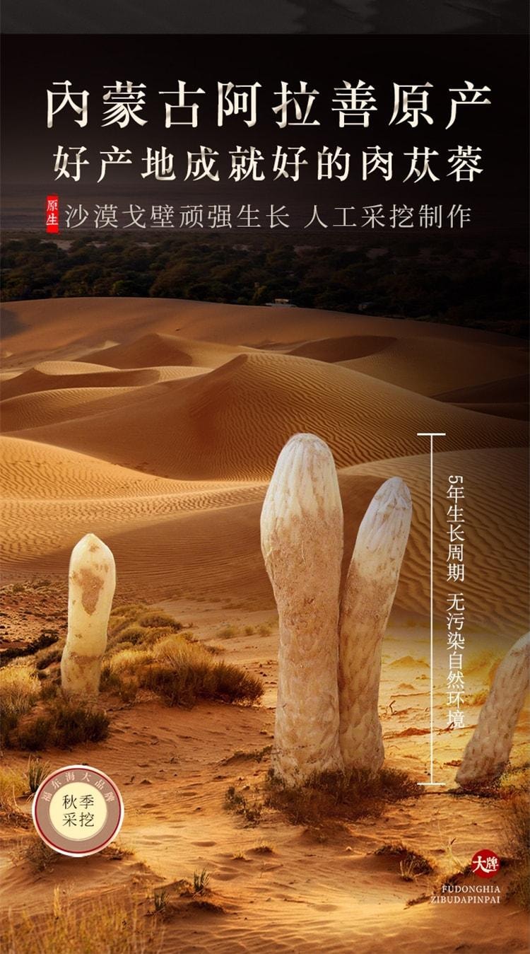 【中国直邮】 福东海 肉苁蓉 锁阳淫羊藿特野级生药材内蒙泡酒茶水100g/罐 补肾壮阳可搭配锁阳 淫羊藿