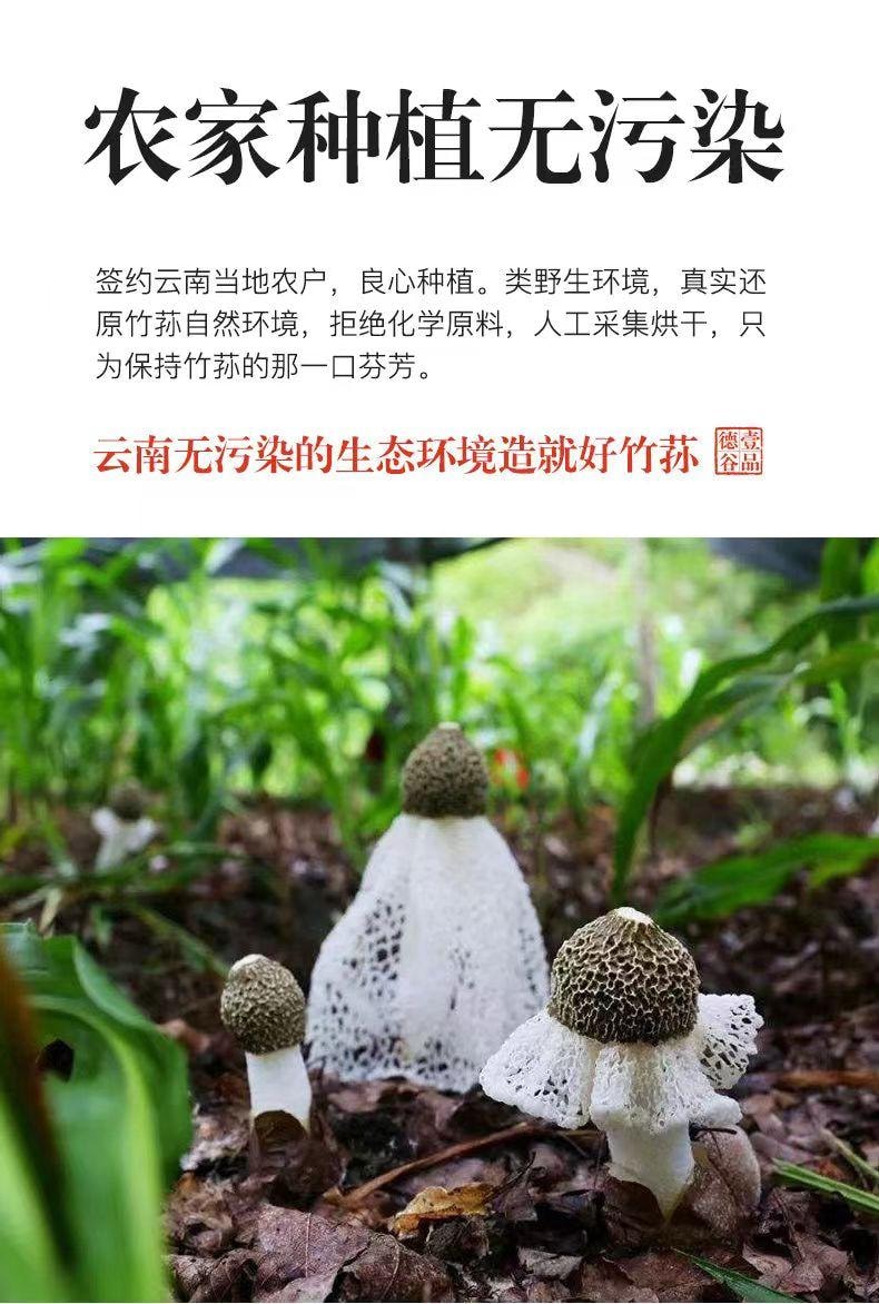 Dried Bamboo Mushroom (Zhu Sun) 10g