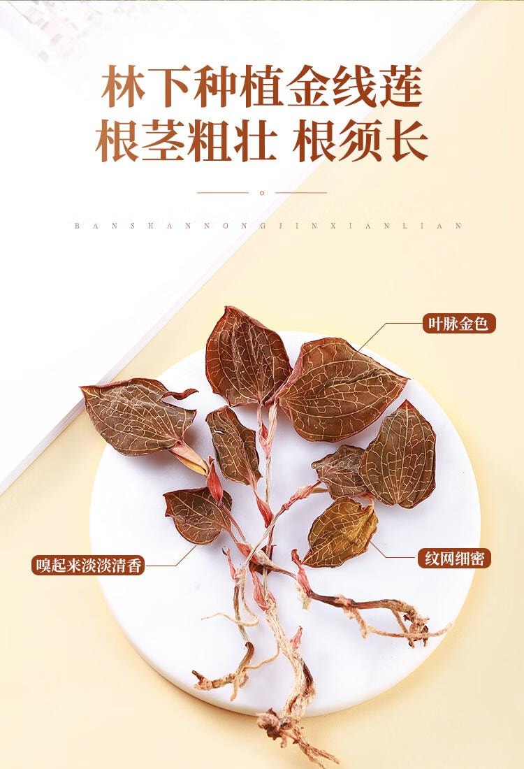 【中国直邮】  半山农【整株】金线莲  养生肝茶 熬夜上火 可煲汤泡水 10g