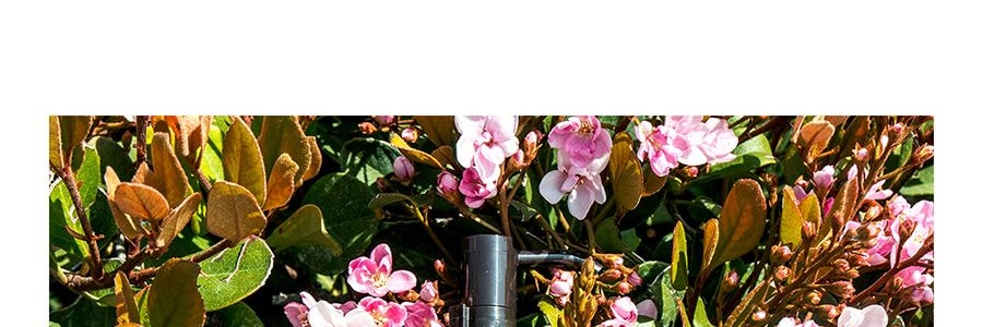 日本ATTENIR艾天然 雙潔淨卸妝油 清新柑橘香 175ml*2【超值裝】【OhEmma空瓶推薦】