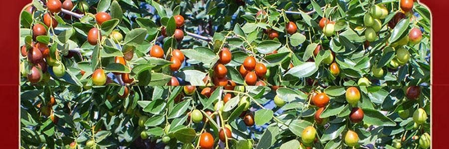 维汉 特级去核灰枣 新疆红枣大枣 500g【山姆同款】