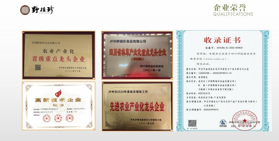 远方好物 【火锅搭子 有机高山脆笋200g/袋】  0添加0农残0防腐 烹饪百搭 炒焖蒸炖