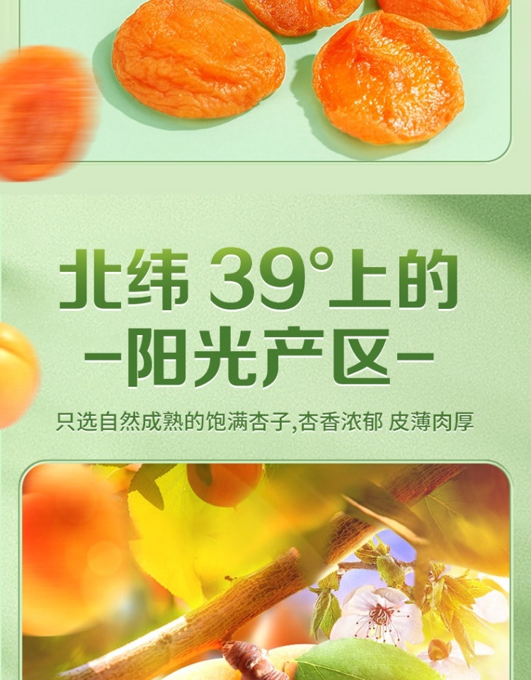 百草味 紅杏乾100g