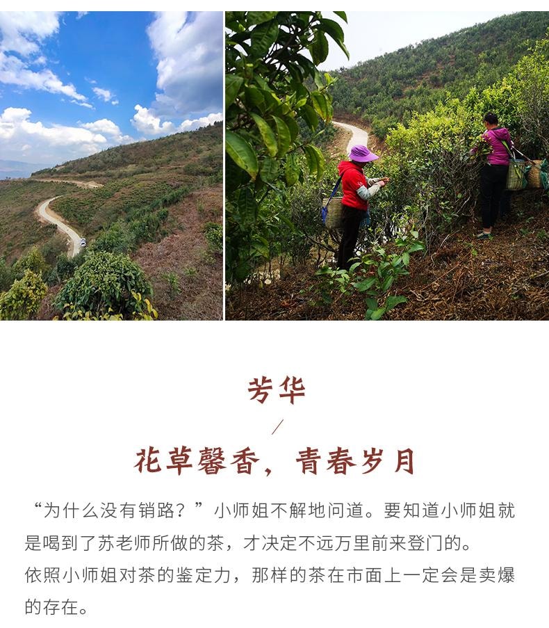 小师姐评茶 野径芳华 云南荒野白茶 2300米超高海拔茶园茶叶 传统工艺 30克