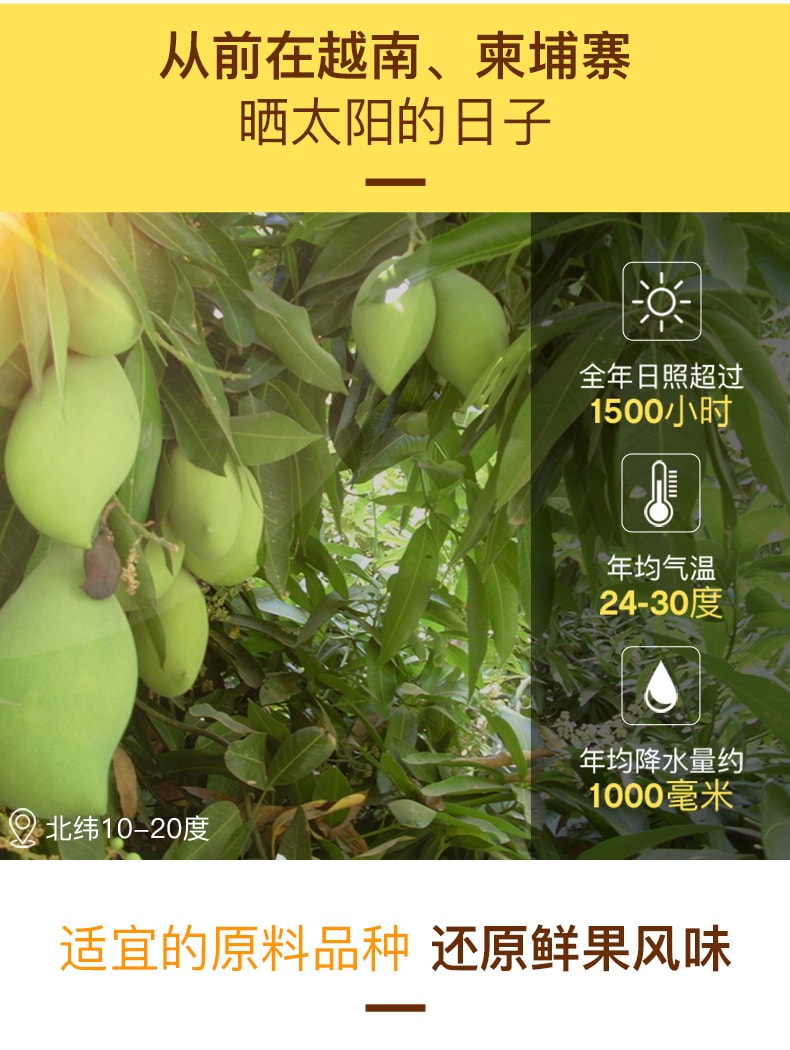 【中国直邮】百草味BE-CHEERY 芒果干 原味 120g