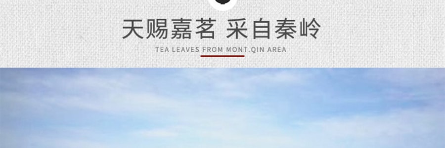 【全美線上首發】涇渭茯茶 茶磚 兵馬俑款 200g