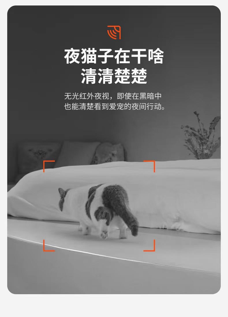 【中国直邮】小佩自动喂食器 可视 宠物智能猫粮狗粮喂食机 1件|*预计到达时间3-4周