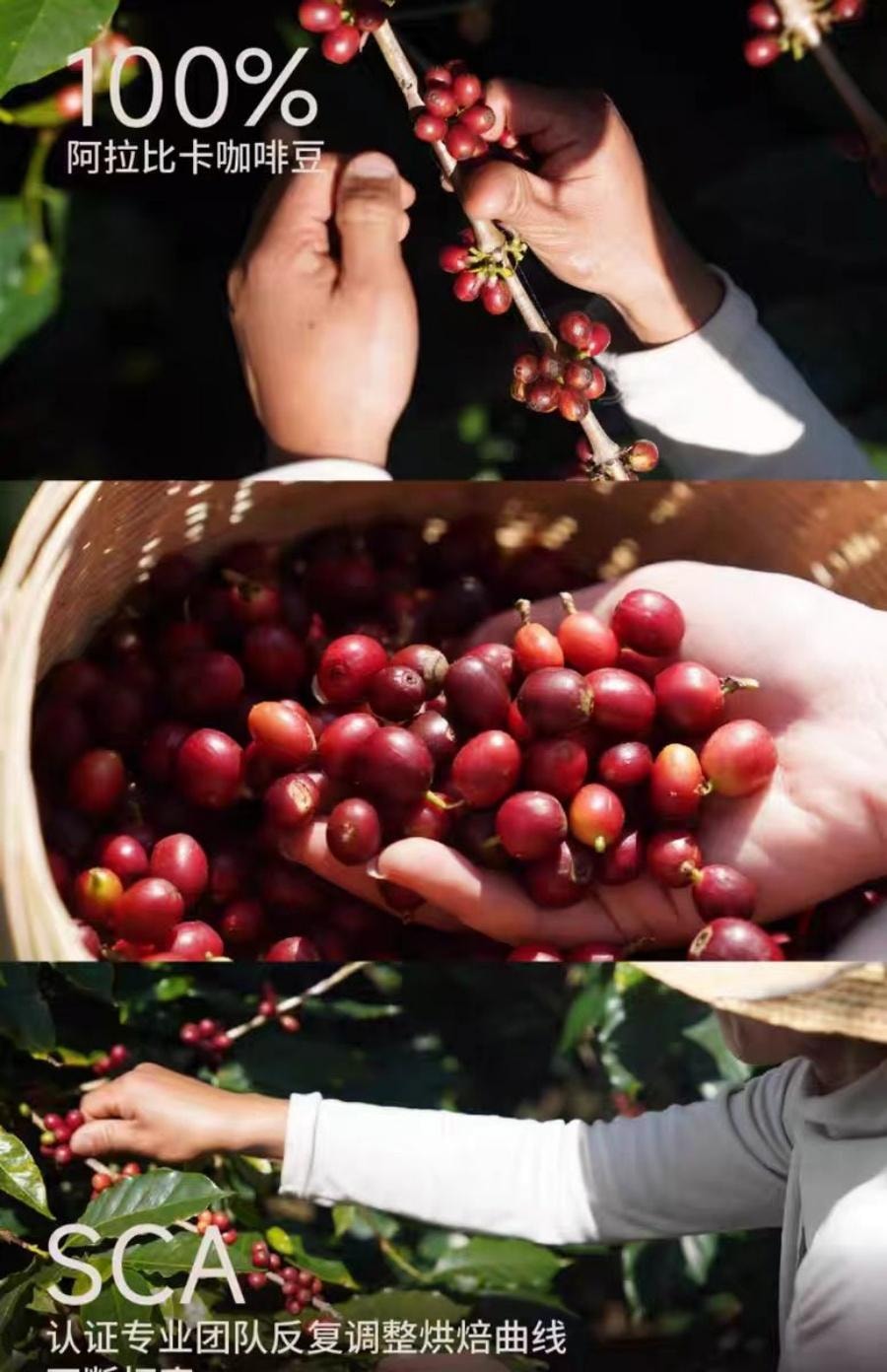 永璞 浓缩咖啡液榛果风味咖啡18g*12杯 1袋装 闪萃咖啡拿铁速溶无糖黑咖啡胶囊 小红书推荐