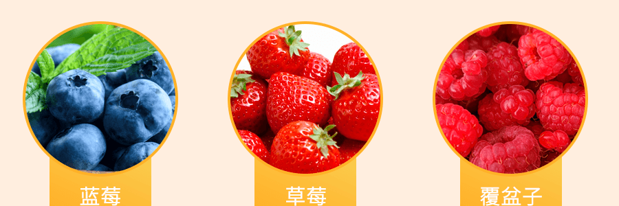 GASTONE LAGO 综合野莓小果塔  240g
