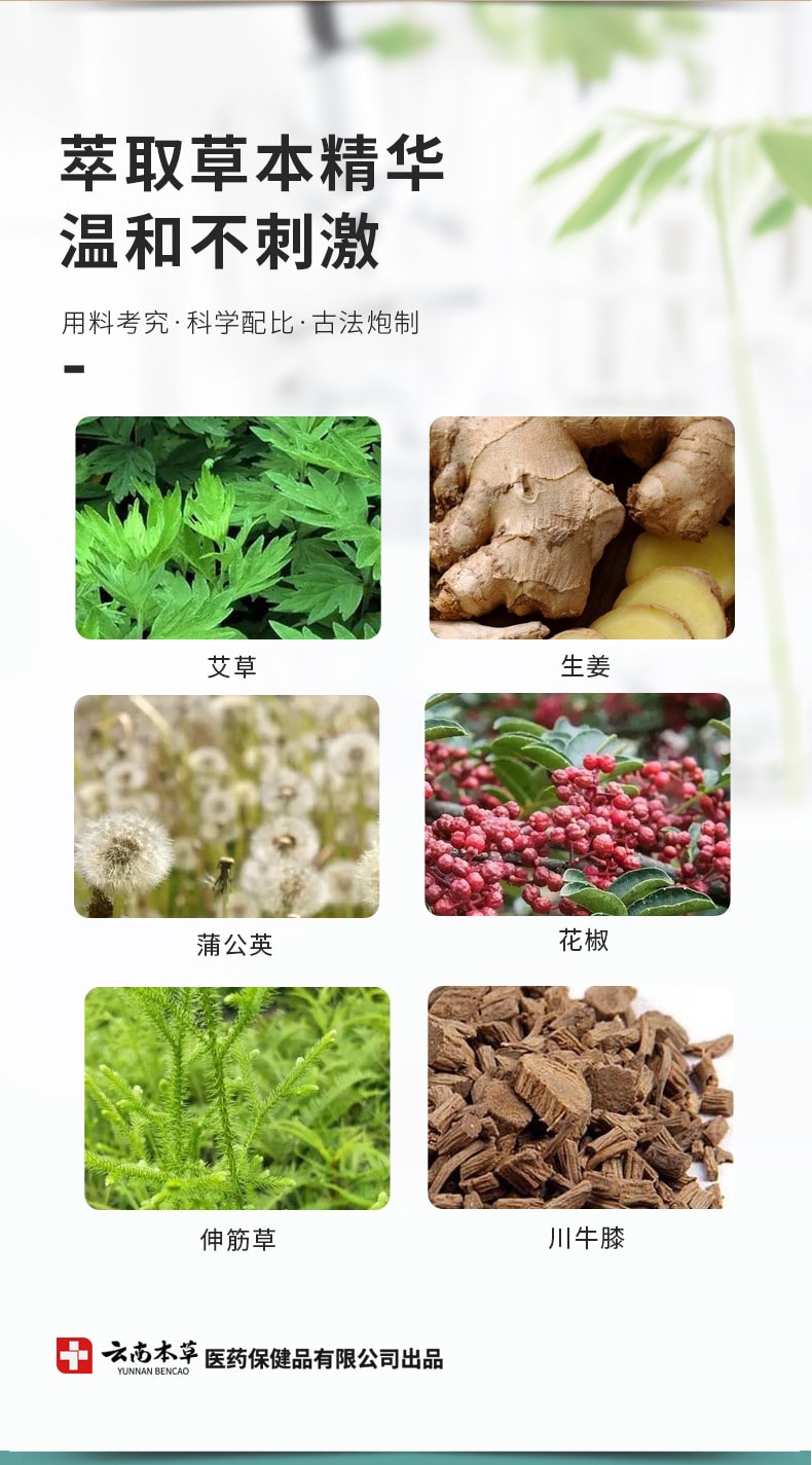 【中国直邮】云南本草 艾草颈椎贴富贵包艾叶发热艾灸贴关节贴腰椎贴肩颈膝盖贴 颈椎贴(12贴/盒)