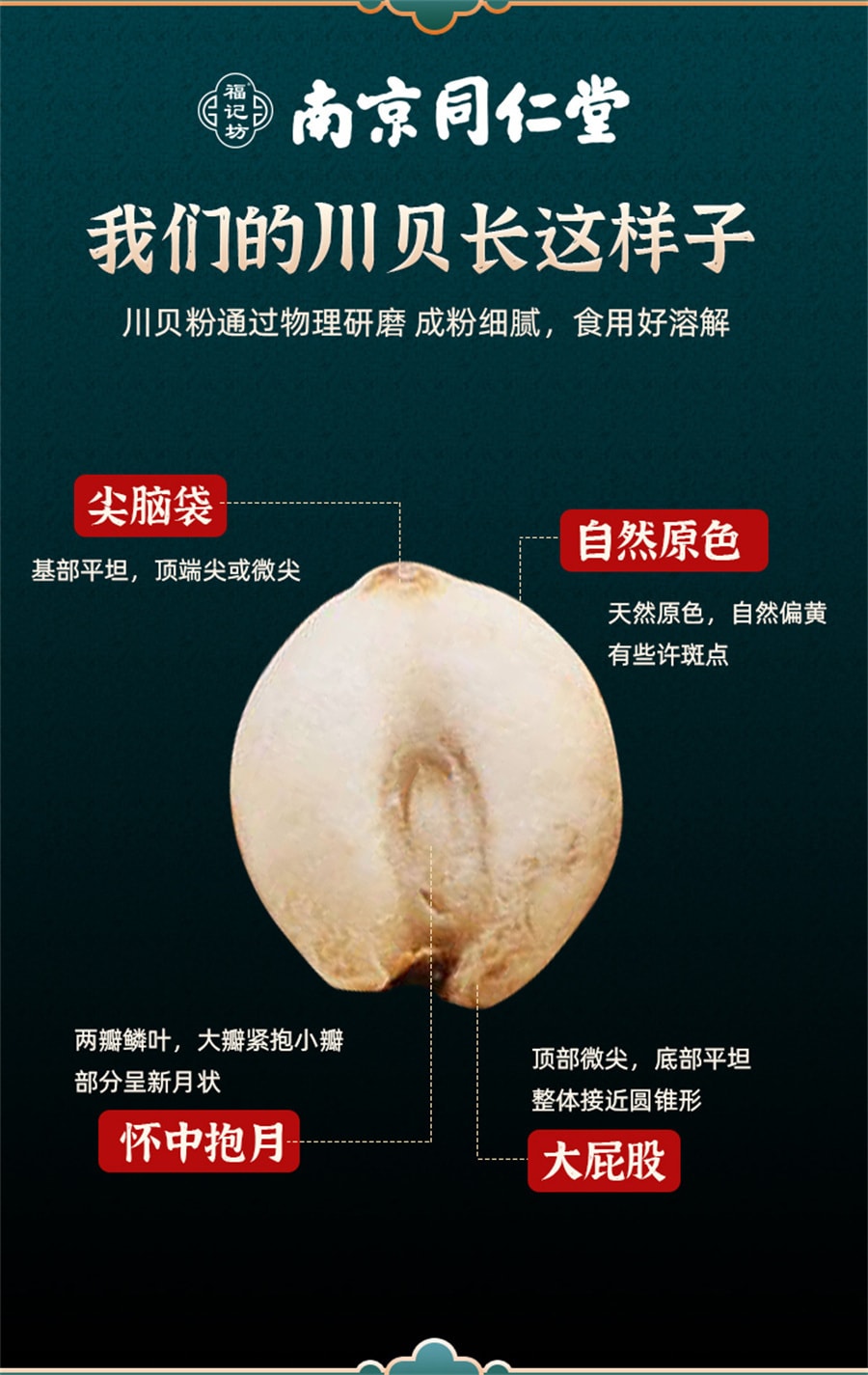 【中国直邮】南京同仁堂 川贝粉 川贝母粉川贝川贝 母贝粉清热润肺、化痰止咳、散结消痛 20克(2g*10袋)