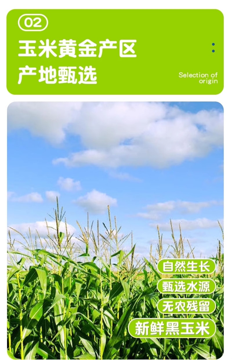 【中国直邮】昔日印象 低卡黑糯玉米5根/箱新鲜正宗东北甜粘有机玉米减棒低脂期即食真空包装