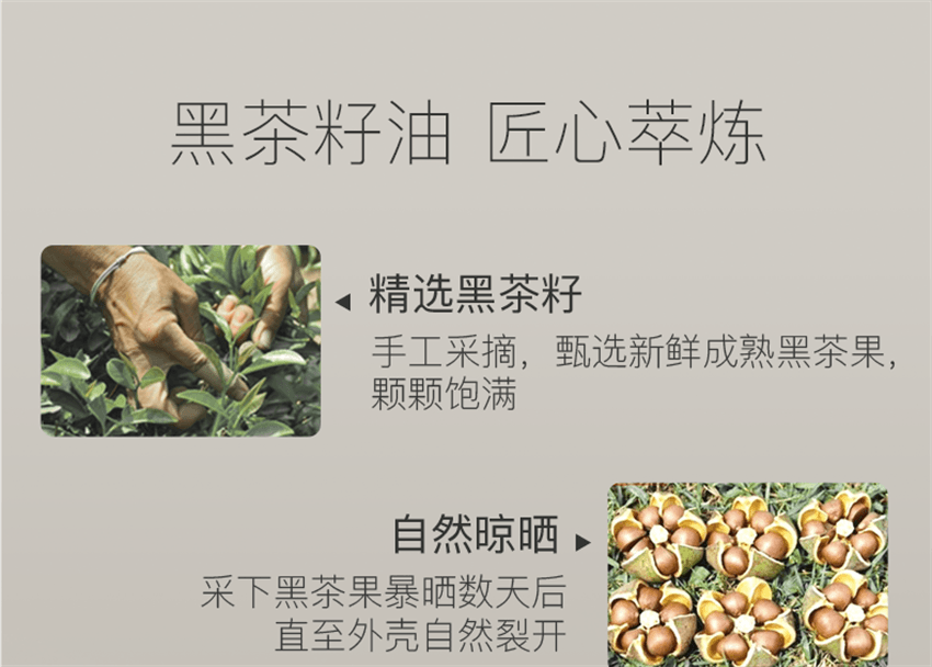 【中國直郵】 柳絲木 黑茶柔潤洗面乳 溫和潔淨氨基酸綿密泡沫敏肌適用 滋潤保濕 養膚加乘 100g/支