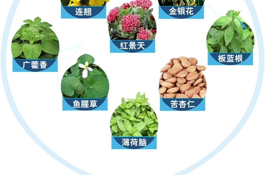 【中國直郵】 以嶺 連花清瘟膠囊 流感冒頭痛咳嗽退燒藥蓮花清瘟膠囊非顆粒24粒/盒