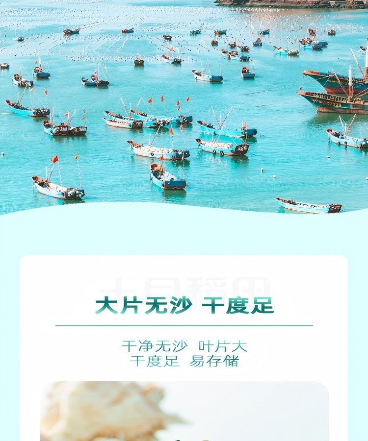 十月稻田 大连产裙带菜 150g 裙带菜虾皮汤早餐低脂 火锅煲汤 海产干货